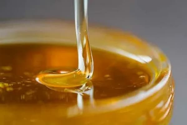 قیمت عسل آویشن رشت + خرید باور نکردنی